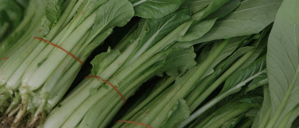Artigo9_FODMAPs